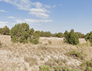 0 Turquoise Ave unit 23737763, Spring Creek, NV 89815 - photo 3