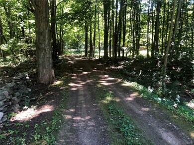 Secluded Driveway