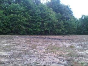 Prepared acreage to build