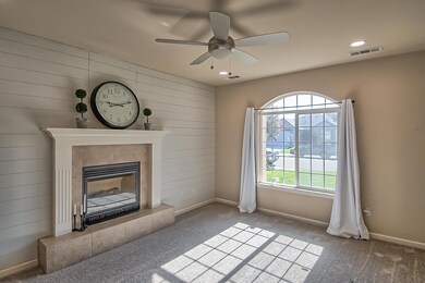 lofty oak-104