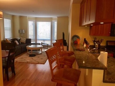 2 St Paul St unit 307, Brookline, MA 02446 - photo 3