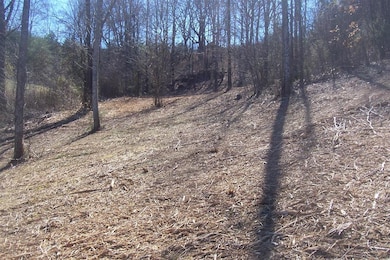 Great area for garage/workshop!