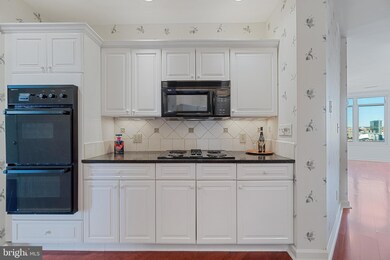 Harborview Towers unit 1507, Baltimore, MD 21230 - photo 6