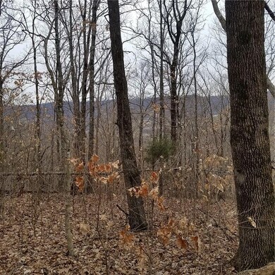 0 23 89 Ac Cr 4099 unit 1107420, Crosses, AR 72727 - photo 7