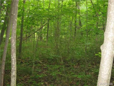 Land/Lot