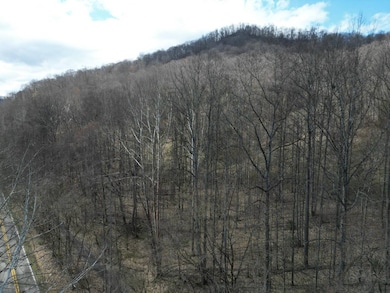 13278 Ridgeview Nellis Rd, Costa, WV 25051 - photo 7