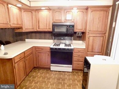 0 Crites Ln unit 1004352483, Keyser, WV 26726 - photo 4