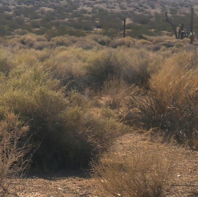 9 Pipeline Rd, Boron, CA 93516 - photo 4