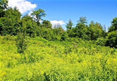 0 Crowningshield Rd unit 1 4819621, Chesterfield, NH 03443 - photo 2