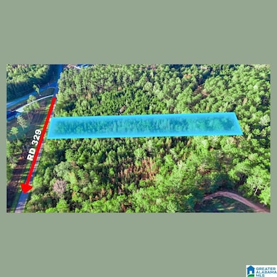 Tract 2B County Road 329, Wedowee, AL 36278 - photo 2