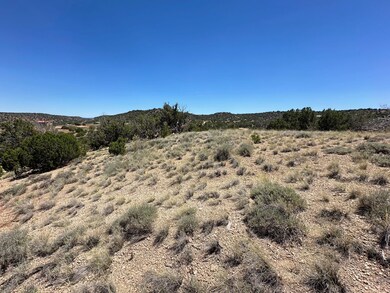 0 W Shumway Rd, Taylor, AZ 85901 - photo 2