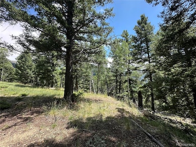 0 Tbd Calkins unit REC5883648, Jasper, CO 81146 - photo 5