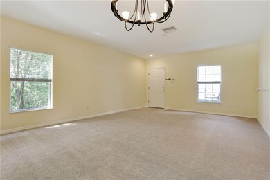 15805 Fishhawk Falls Dr, Lithia, FL 33547 - photo 3