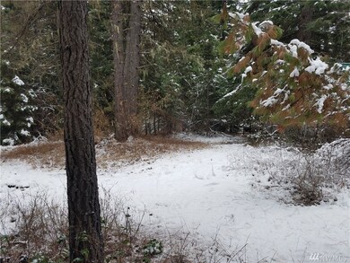 710 Highland Loop, Ronald, WA 98940 - photo 5