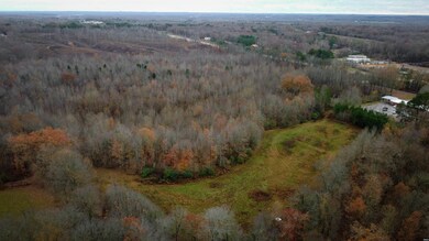 907 Highway 22 unit Evergreen, Dresden, TN 38225 - photo 6