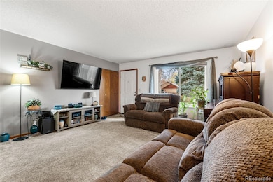 1125 Memphis St, Aurora, CO 80011 - photo 4