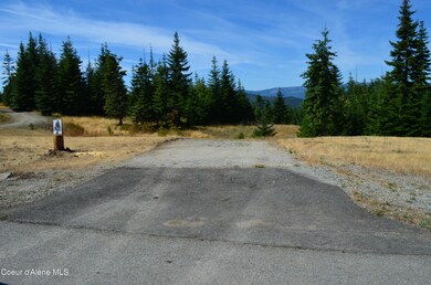 L2 B9 S Kapalua Rd, Harrison, ID 83833 - photo 3