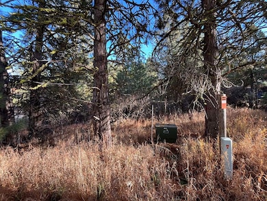 L129 Par Dr unit 129, Cascade, ID 83611 - photo 6