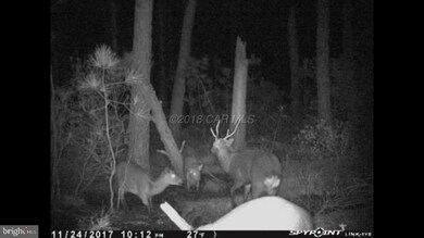 2506 Willeys Neck Rd, Crapo, MD 21626 - photo 2