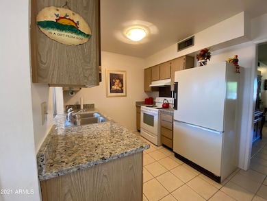 13405 N 111th Ave unit 45, Sun City, AZ 85351 - photo 2