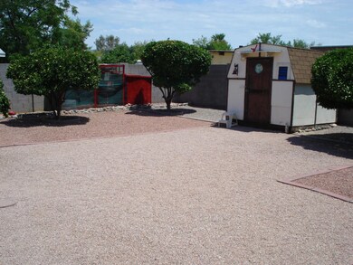 Back yard with shed