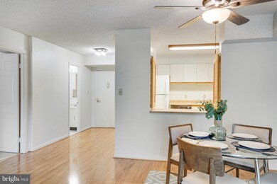 Lakeside Plaza Condominium unit 518, Baileys Crossroads, VA 22041 - photo 5