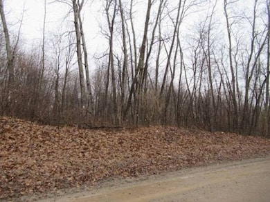 14510 Washburn Rd, Otter Lake, MI 48464 - photo 5