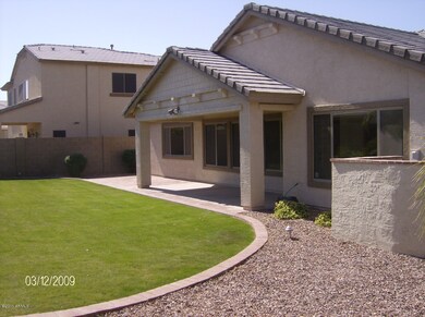 Backyard 3