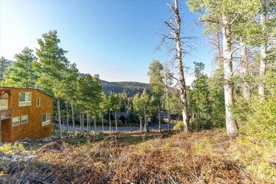 1037 Snow Crest Rd, Alpine Meadows, CA 96146 - photo 5