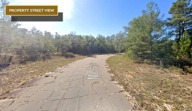 0 Malaluka Place unit 25518503, Chipley, FL 32428 - photo 4