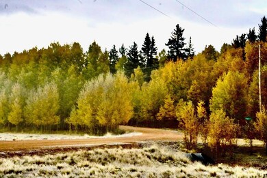 Fall on the road before the property