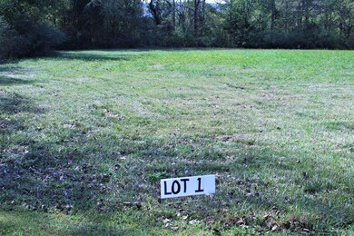 Lot 1 Photo