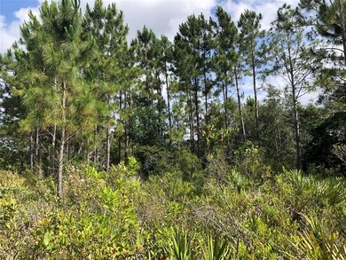 0 Bronco Dr unit O5945609, Saint Cloud, FL 34771 - photo 5