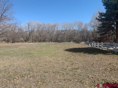 275 SE 2nd St, Cedaredge, CO 81413 - photo 2