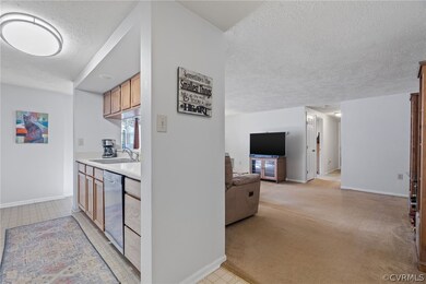 3112 Wallaby Trace unit 502, Henrico, VA 23294 - photo 6