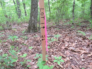 End of Lot 1 and start of Lot 2.