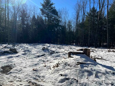 31 & 32 Lakeview Dr, Weare, NH 03281 - photo 3