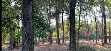 0 Koepp Rd, Madisonville, LA 70447 - photo 5