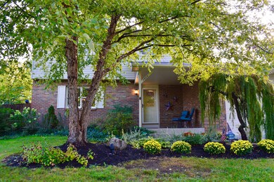 7682 Old Foxe Ct.