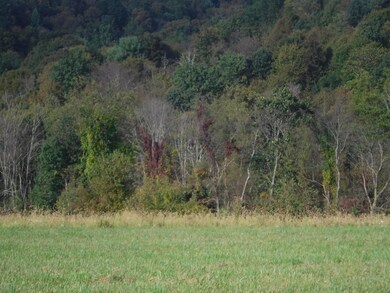 348 Mount Zion Hill Rd, Penn Township, PA 17737 - photo 6