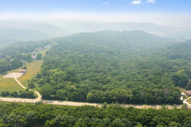 0 Olde Davenport Rd unit 147533, Dubuque, IA 52003 - photo 4