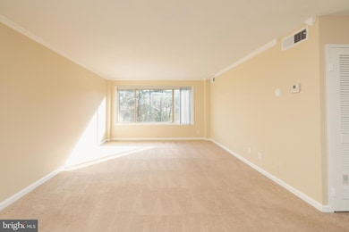 10570 Main St unit 424, Fairfax, VA 22030 - photo 3