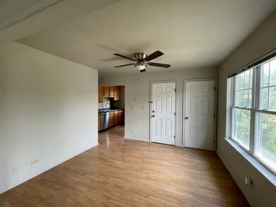 836 N Loomis St unit B, Naperville, IL 60563 - photo 4