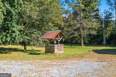 910 Brushtown Rd, Cisco, GA 30708 - photo 6