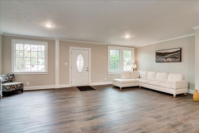 new floors and lots of light