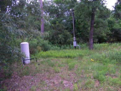 25163 Lakeside Dr, Hockley, TX 77447 - photo 7