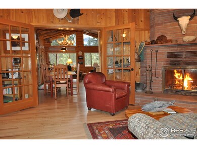 747 Coyote Hill Rd, Allenspark, CO 80510 - photo 6