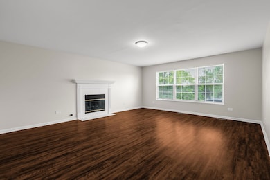 4508 W Azalea Ave, Monee, IL 60449 - photo 7