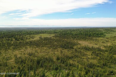 C30 Alaskan Wildwood Ranch(r), Anchor Point, AK 99556 - photo 4