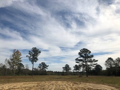 3 Moses Cove, Picayune, MS 39466 - photo 3